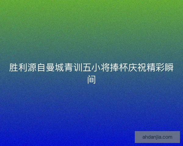胜利源自曼城青训五小将捧杯庆祝精彩瞬间 胜利源自曼城青训五小将捧杯庆祝精彩瞬间